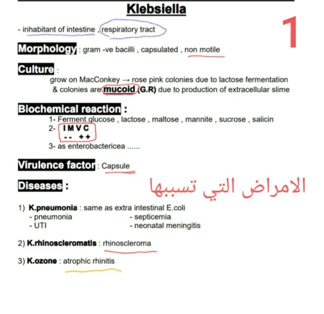غلاف كتاب Klebsiella