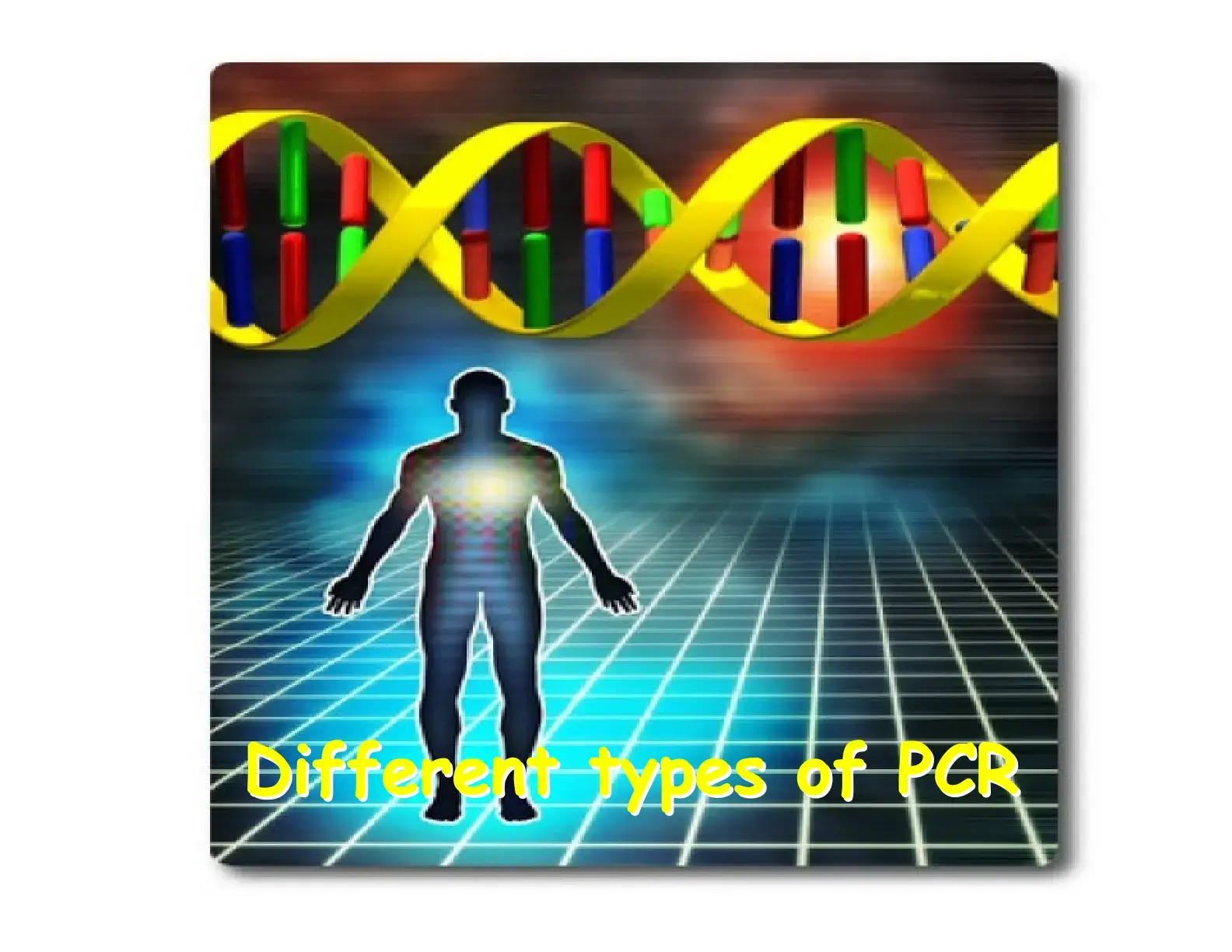 غلاف كتاب Different types of PCR