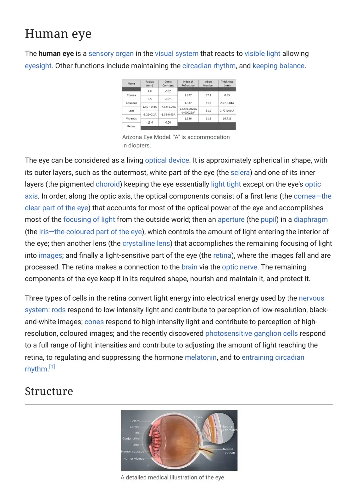 غلاف كتاب Human Eye