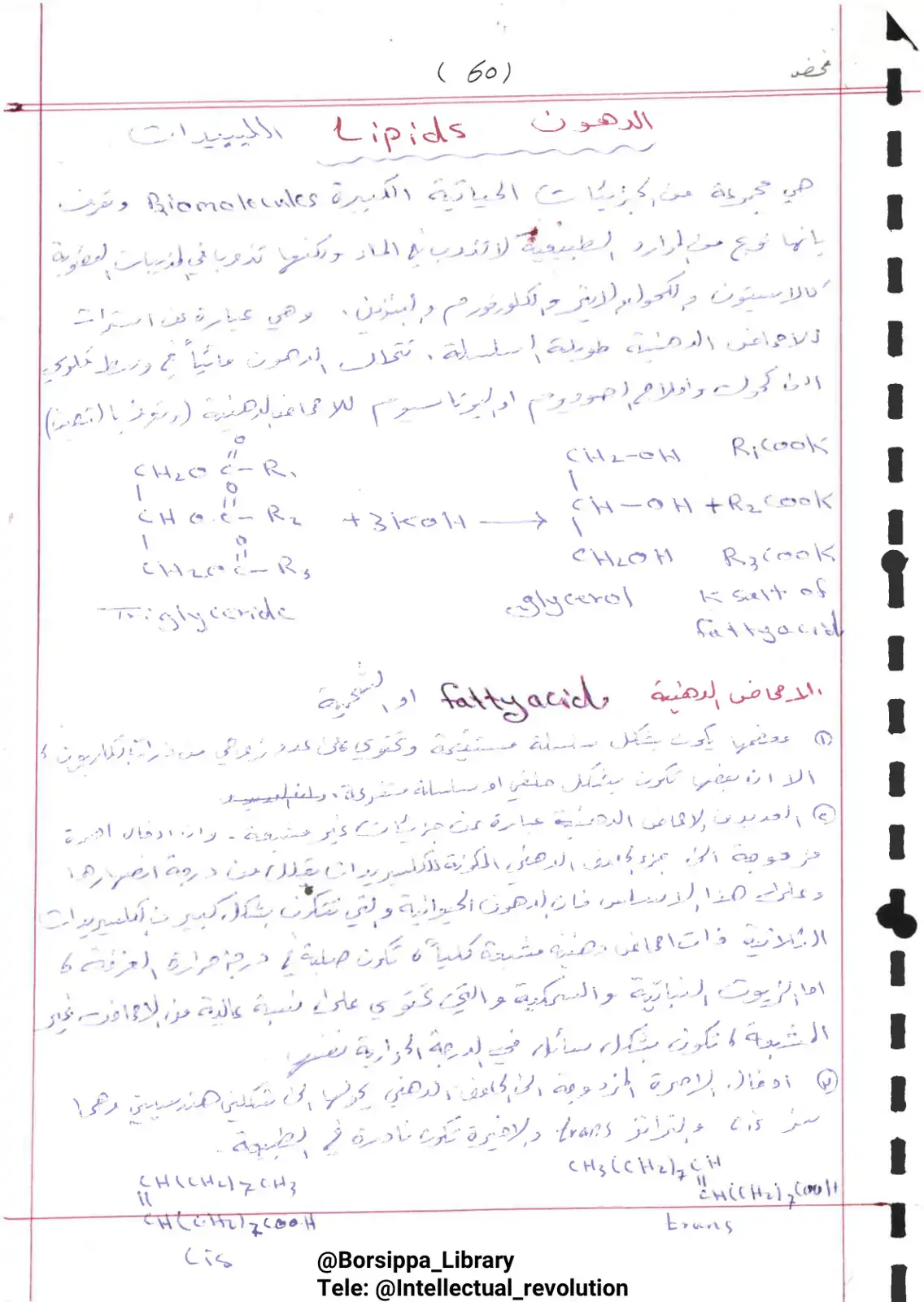 غلاف كتاب الدهون Lipids الليبيدات