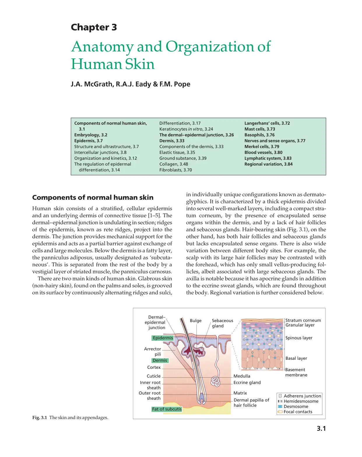 غلاف كتاب Anatomy and Organization of Human Skin