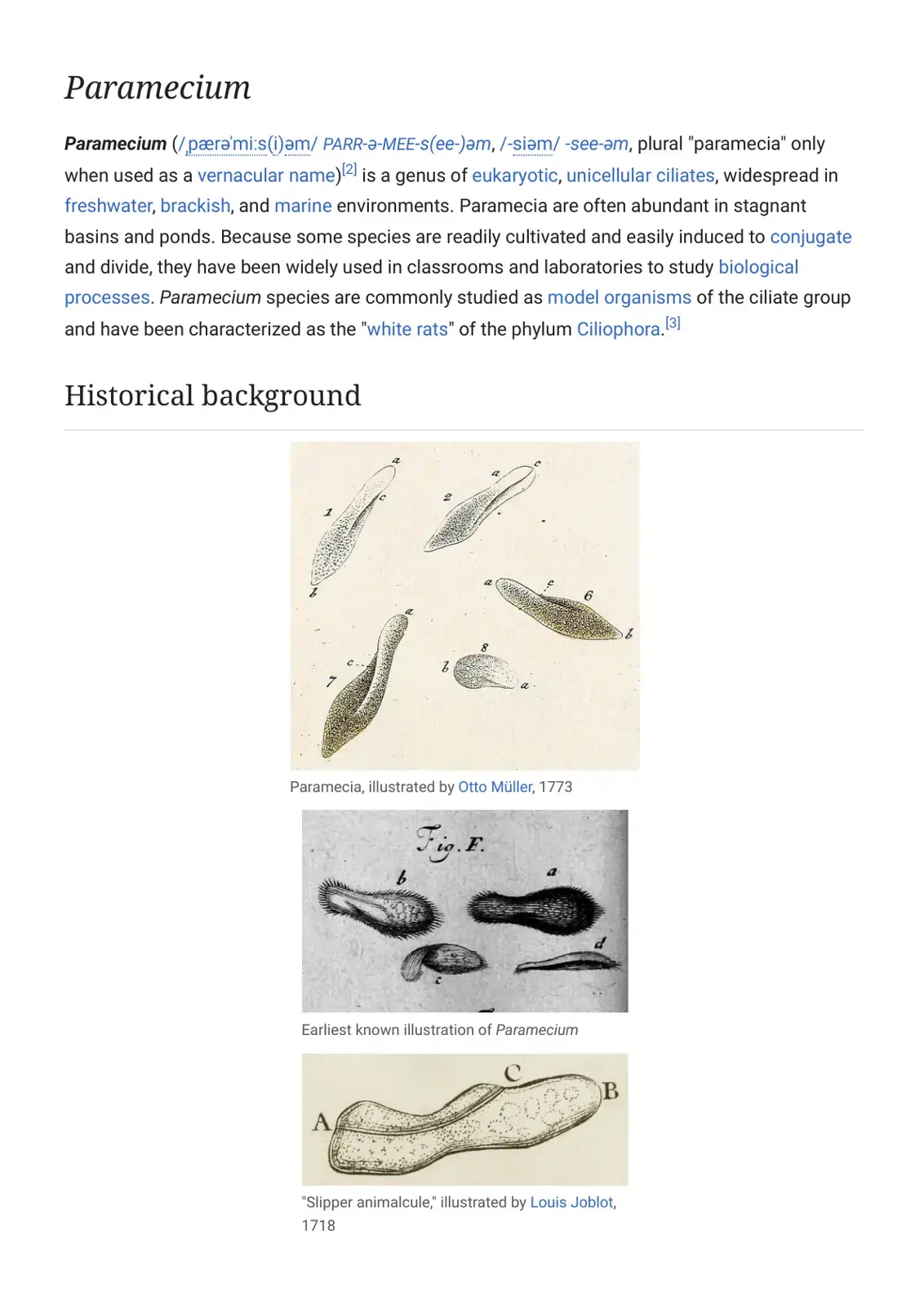 غلاف كتاب Paramecium