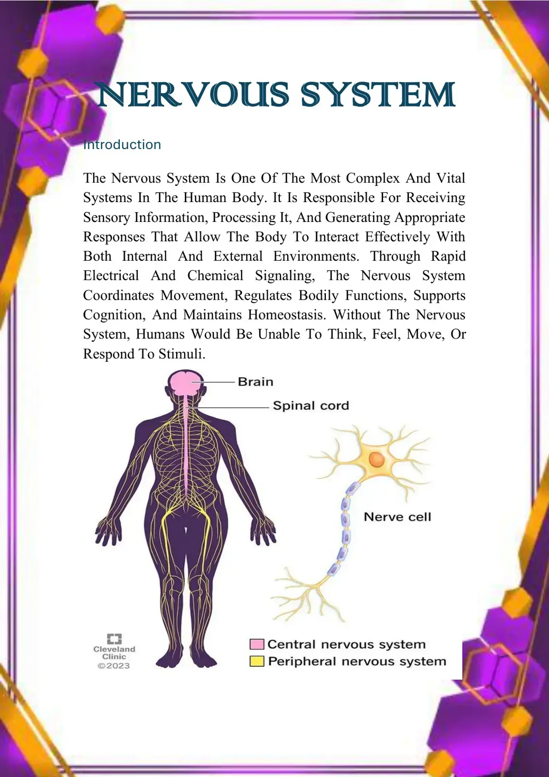غلاف كتاب The Nervous System