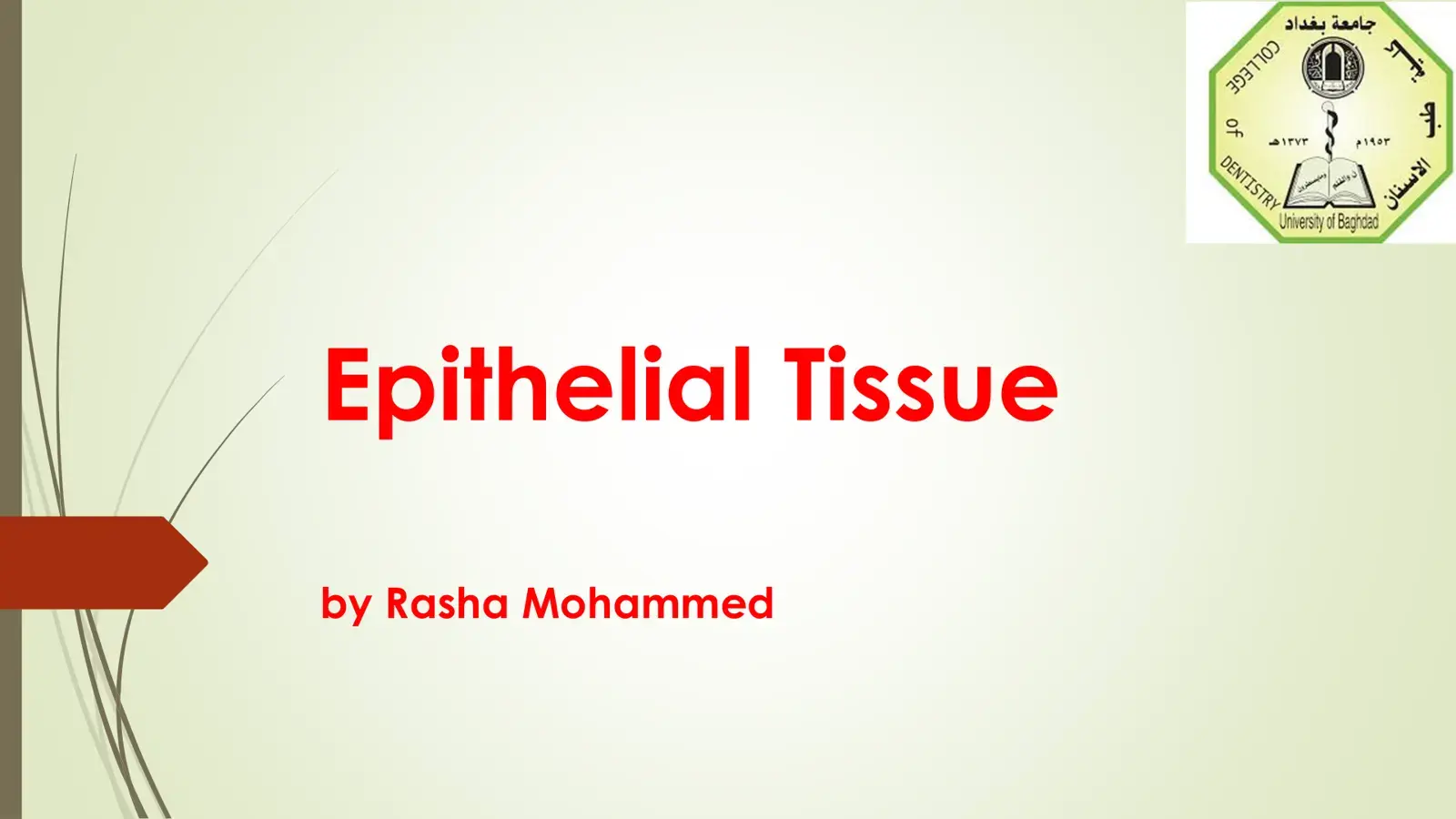 غلاف كتاب Epithelial Tissue
