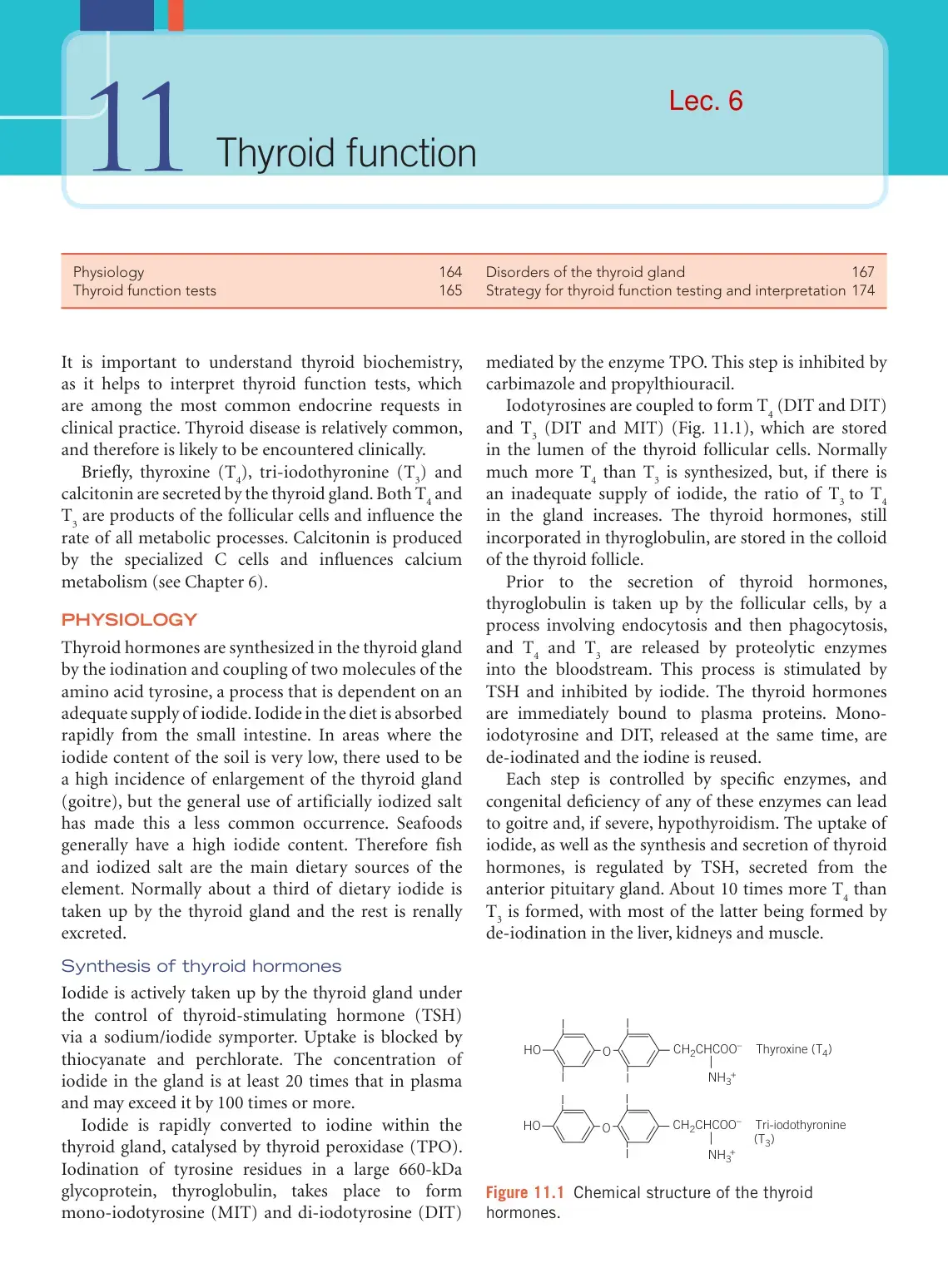 غلاف كتاب Thyroid Function Tests