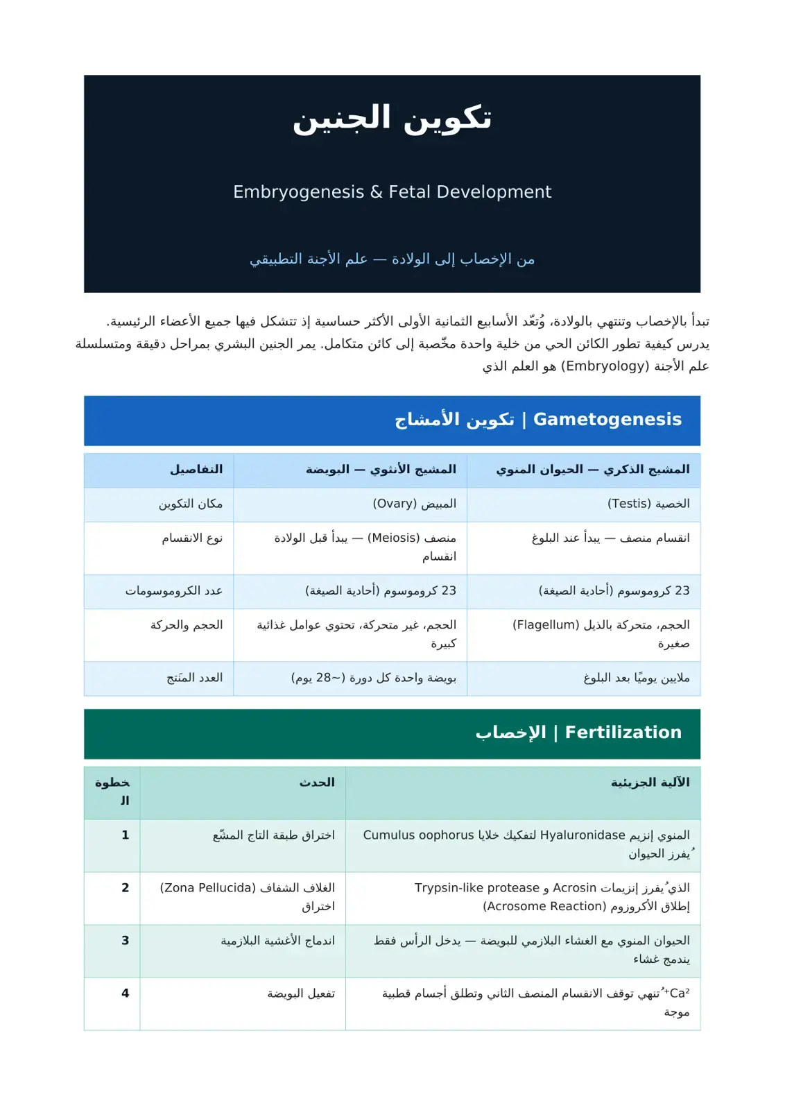 غلاف كتاب تكوين الجنين - علم الأجنة التطبيقي