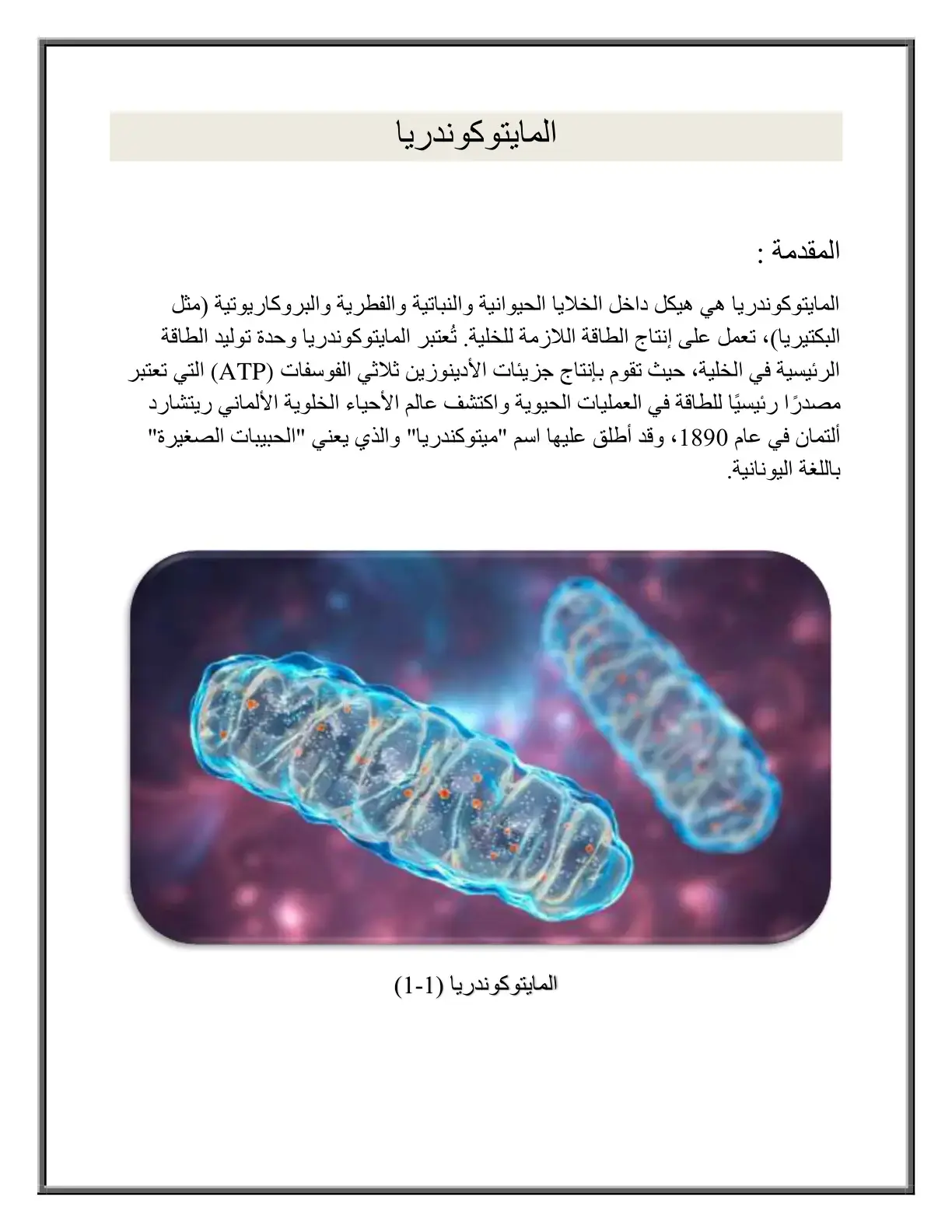غلاف كتاب المايتوكوندريا