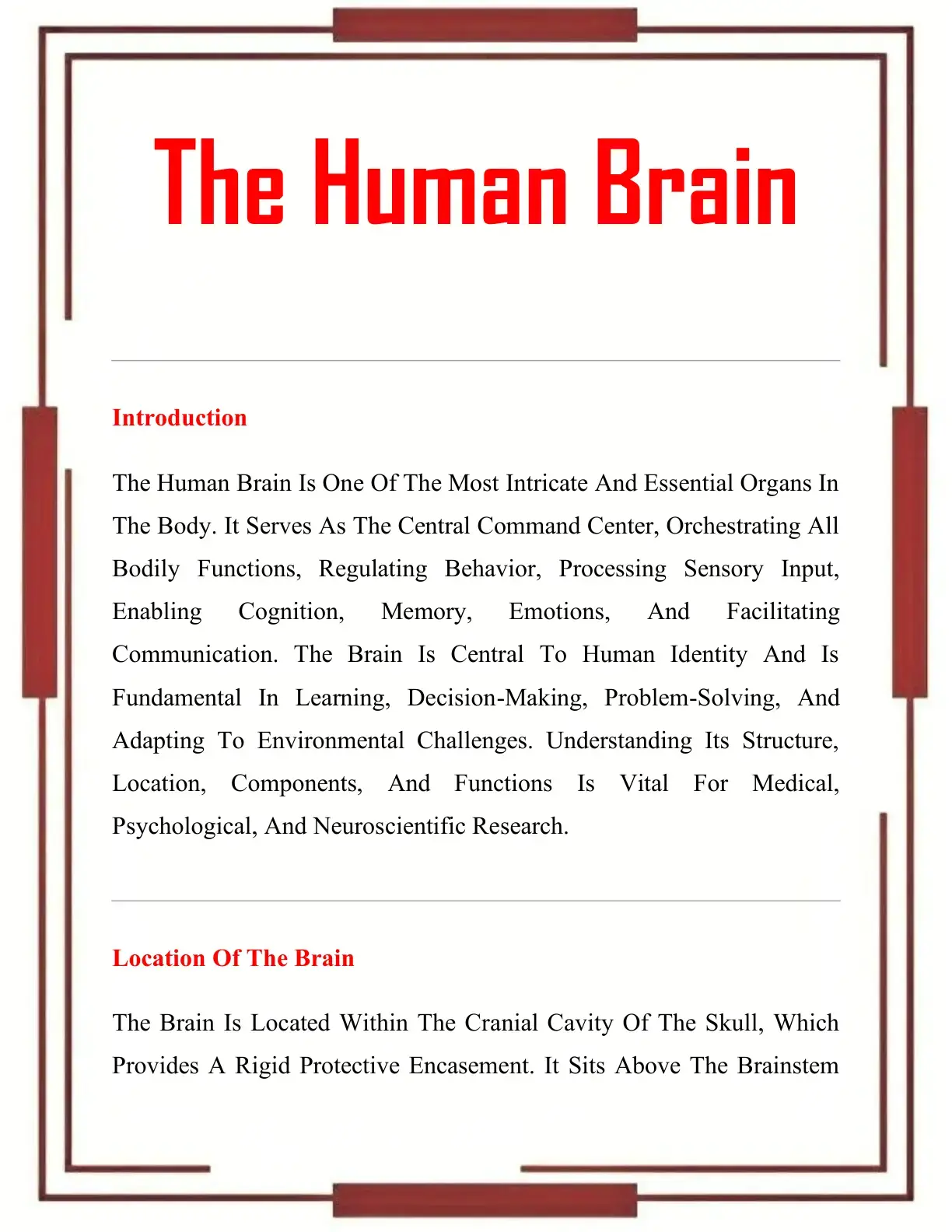 غلاف كتاب The Human Brain