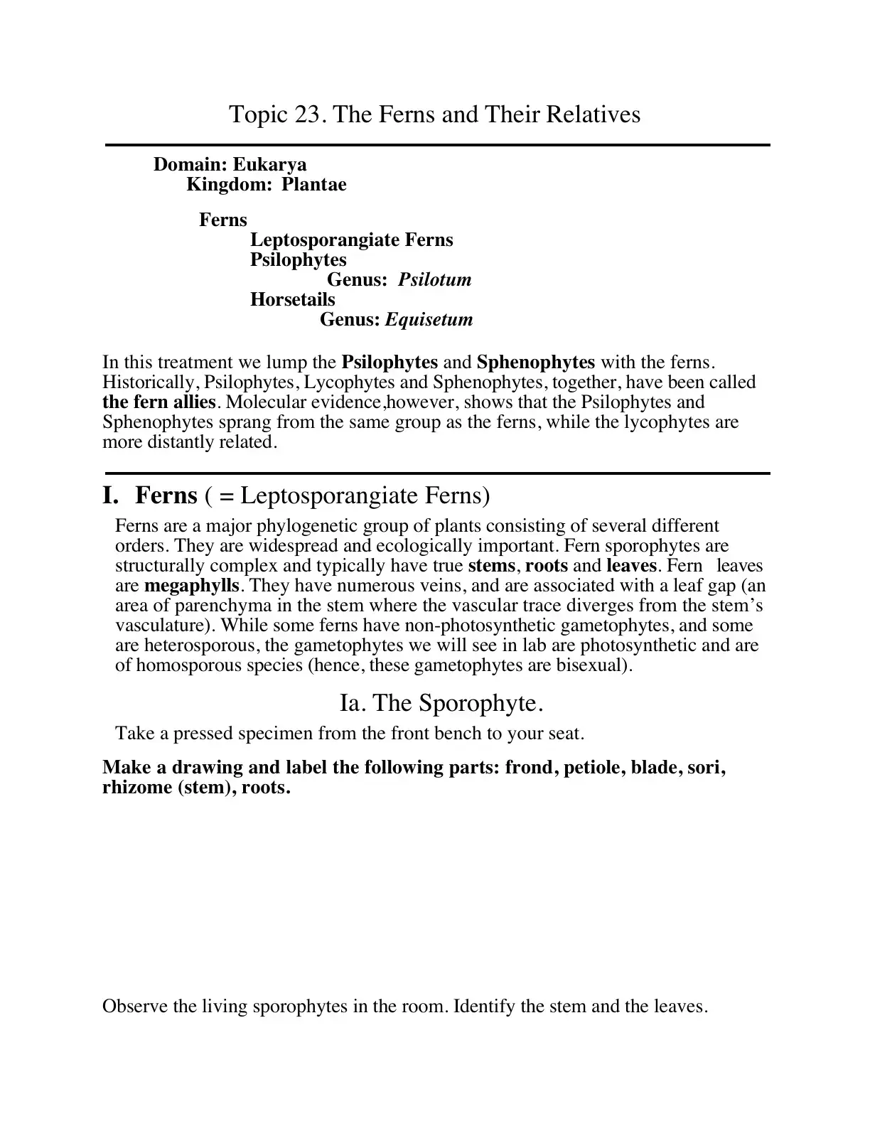 غلاف كتاب The Ferns and Their Relatives