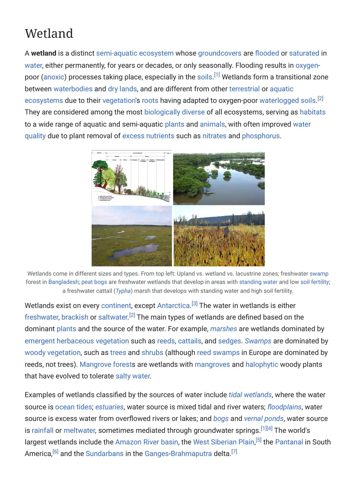 غلاف كتاب Wetland
