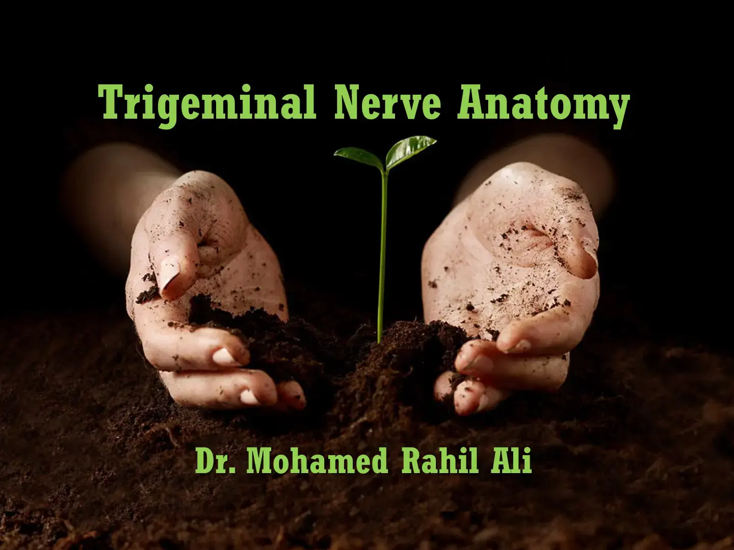 غلاف كتاب Trigeminal Nerve Anatomy