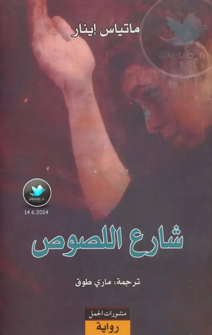 غلاف كتاب شارع اللصوص