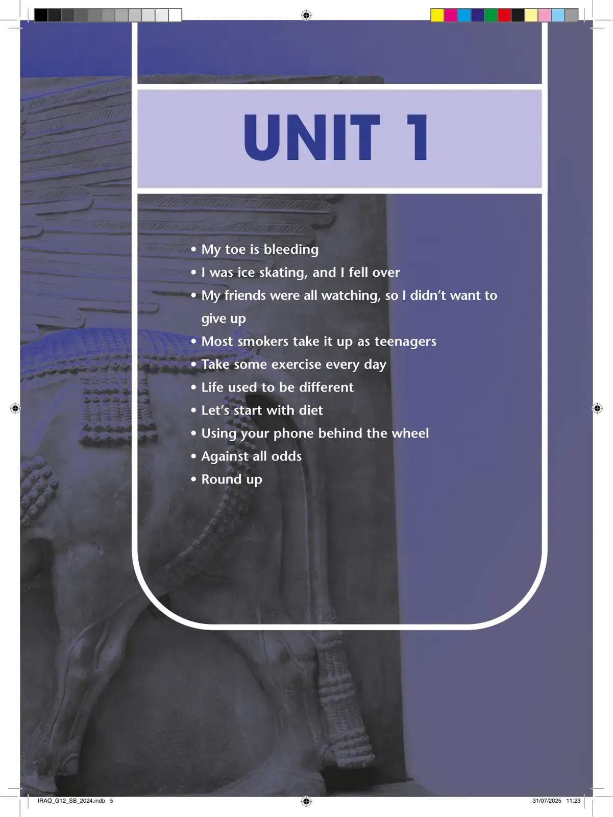 غلاف كتاب English Language SB Grade 12 – Iraq
