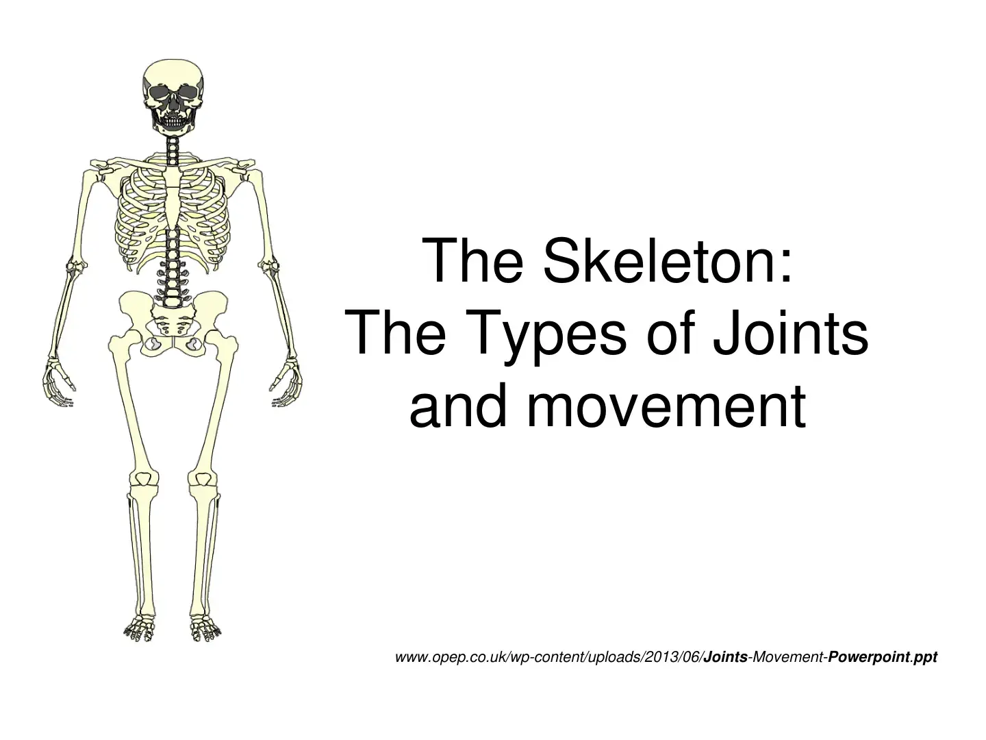 غلاف كتاب The Skeleton: The Types of Joints and movement
