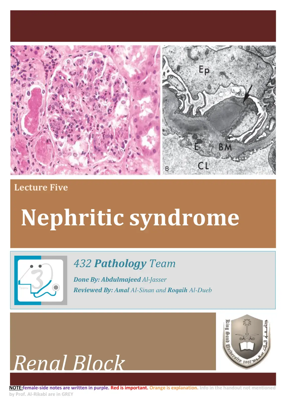 غلاف كتاب Nephritic syndrome