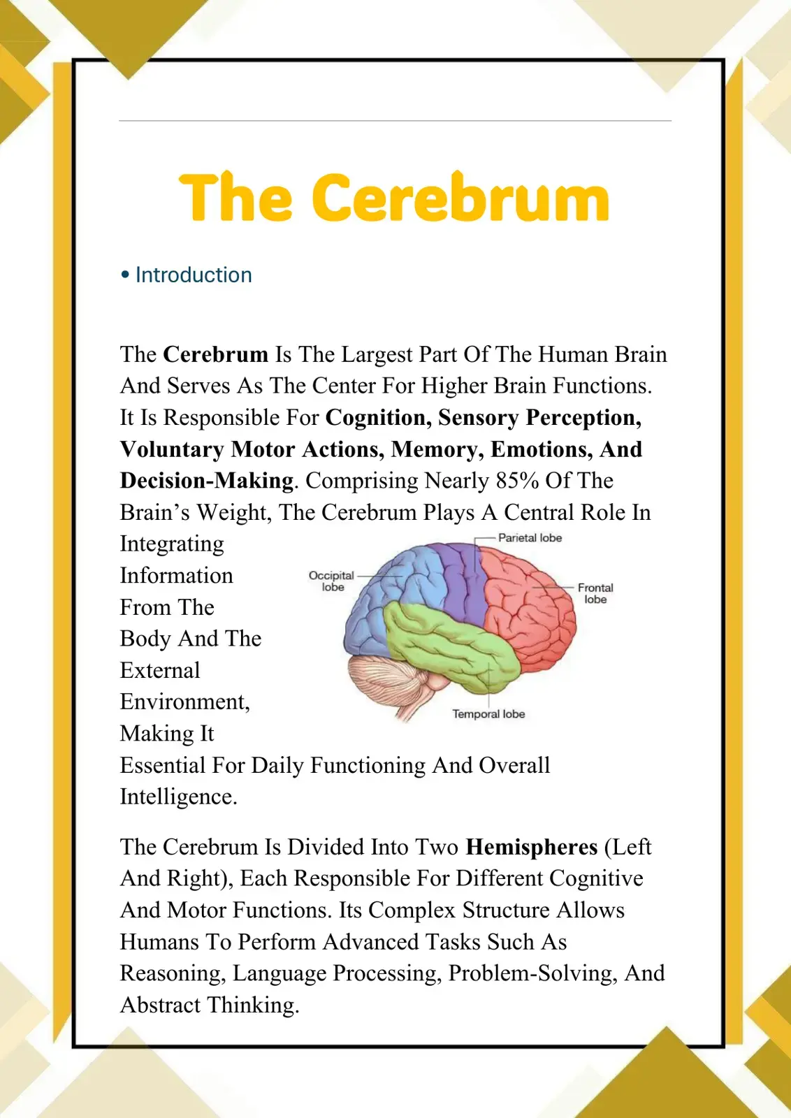 غلاف كتاب The Cerebrum