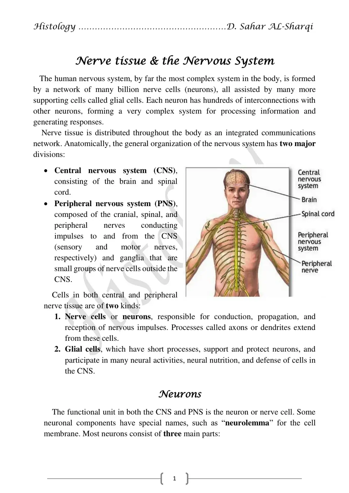 غلاف كتاب Histology