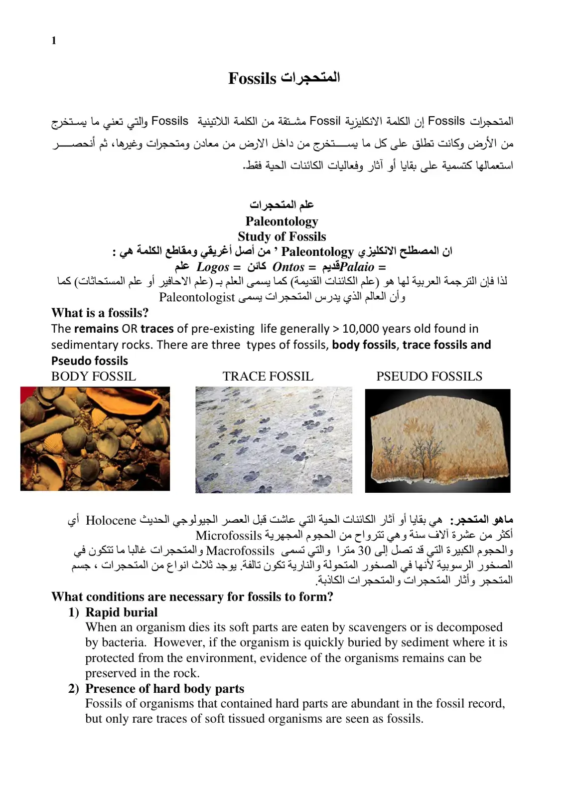 غلاف كتاب المتحجرات (Fossils)