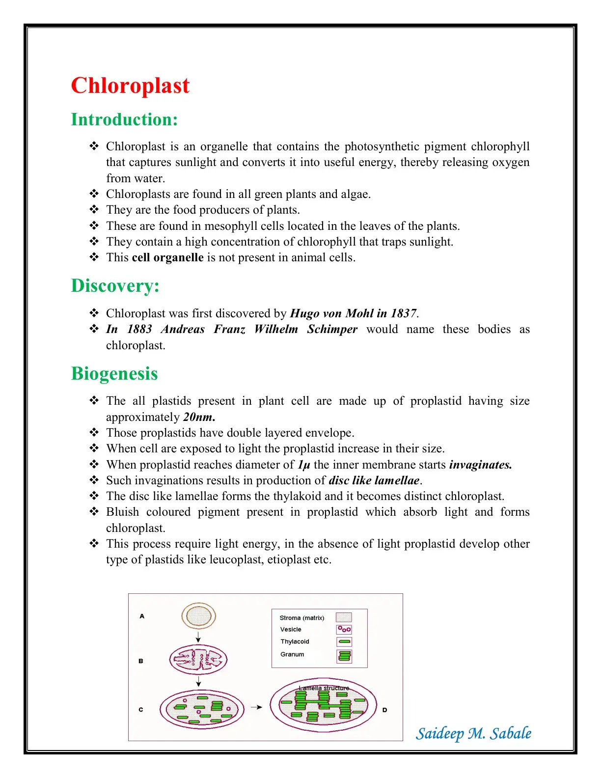 غلاف كتاب Chloroplast