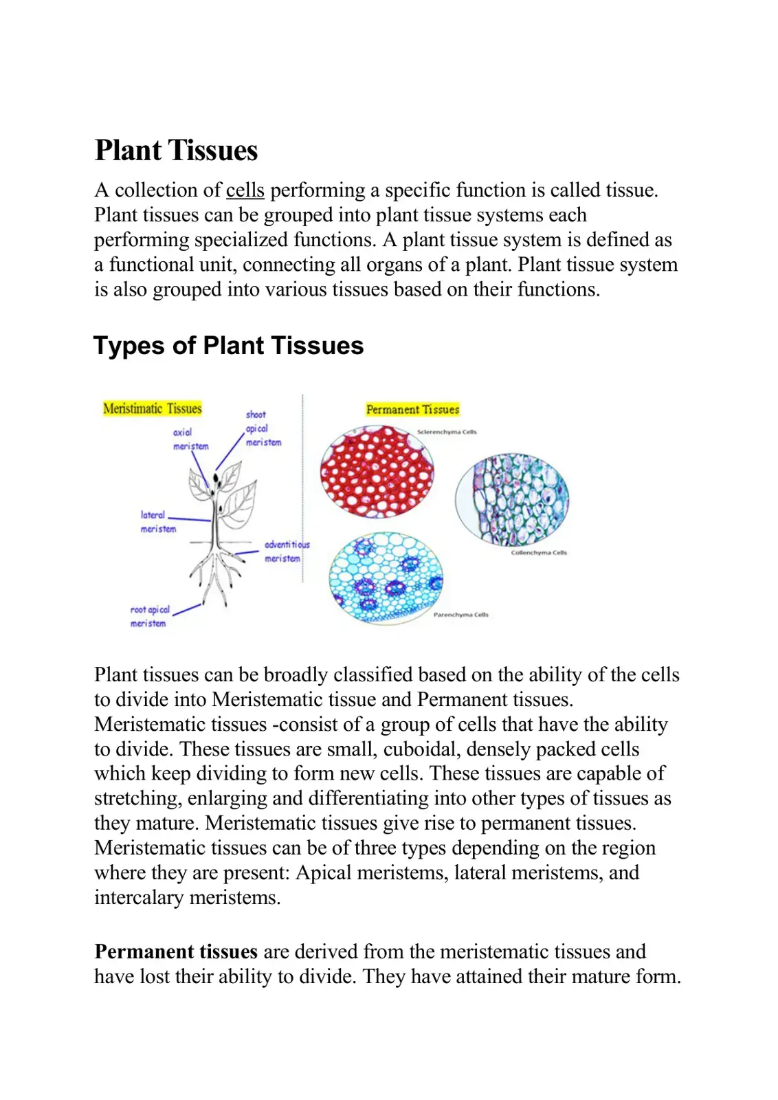 غلاف كتاب Plant Tissues