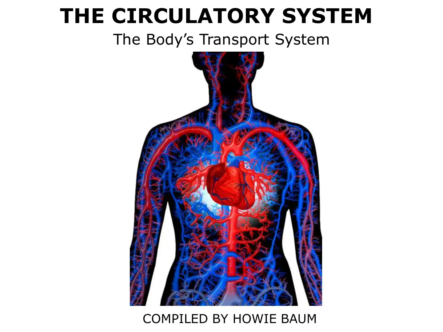 غلاف كتاب The Circulatory System: The Body's Transport System