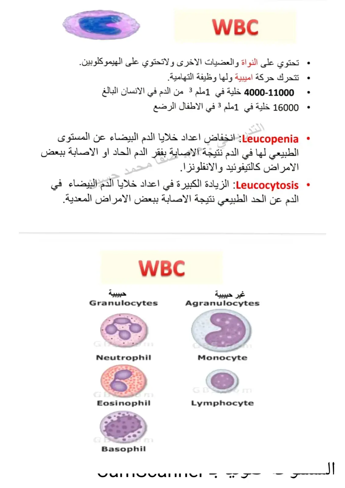 غلاف كتاب WBC