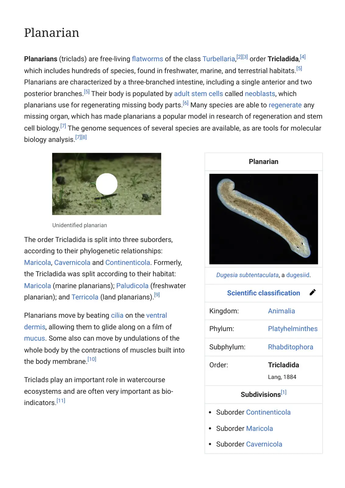 غلاف كتاب Planarian