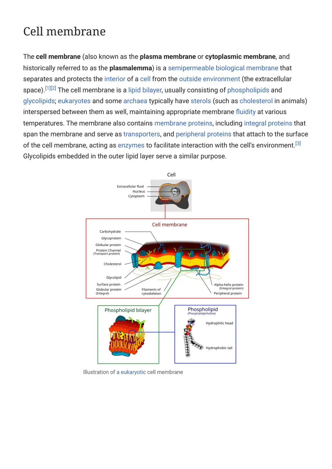 غلاف كتاب Cell Membrane