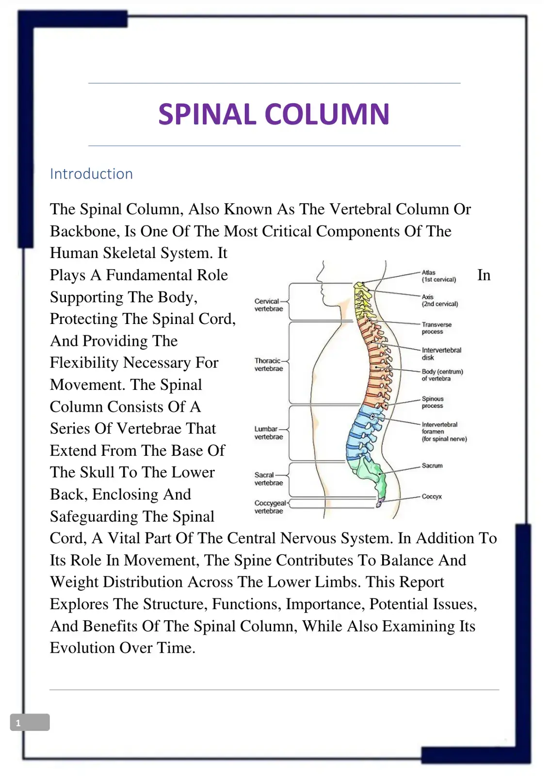 غلاف كتاب The Spinal Column