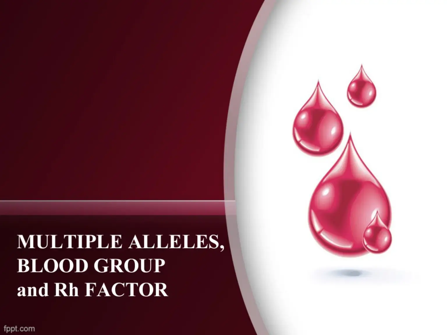 غلاف كتاب MULTIPLE ALLELES, BLOOD GROUP and Rh FACTOR