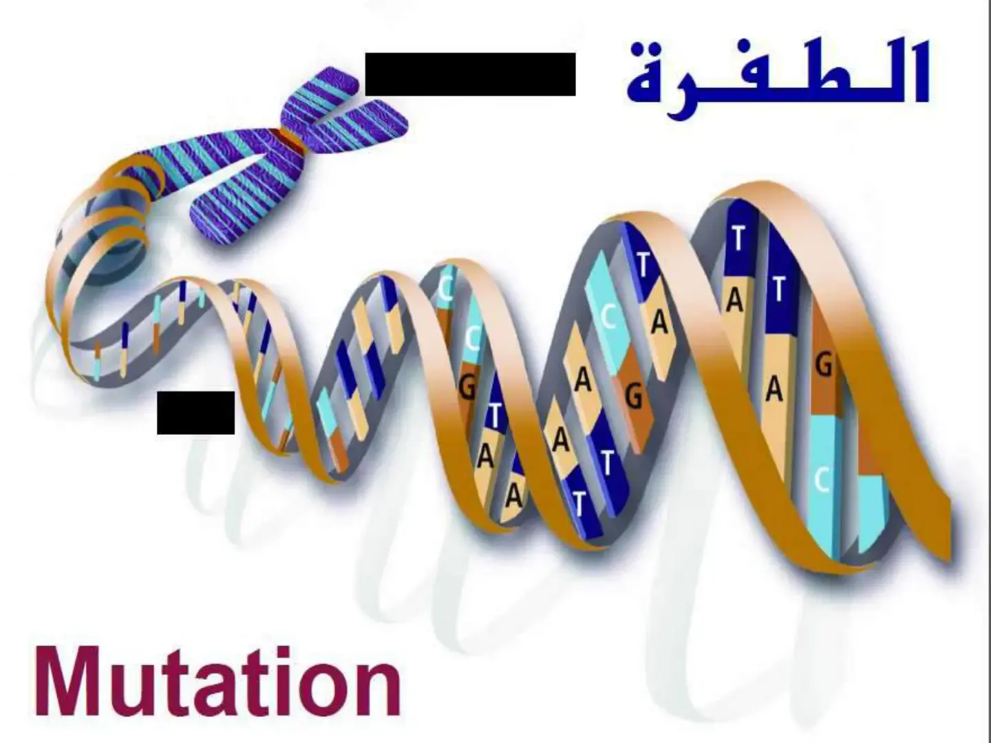 غلاف كتاب Mutation