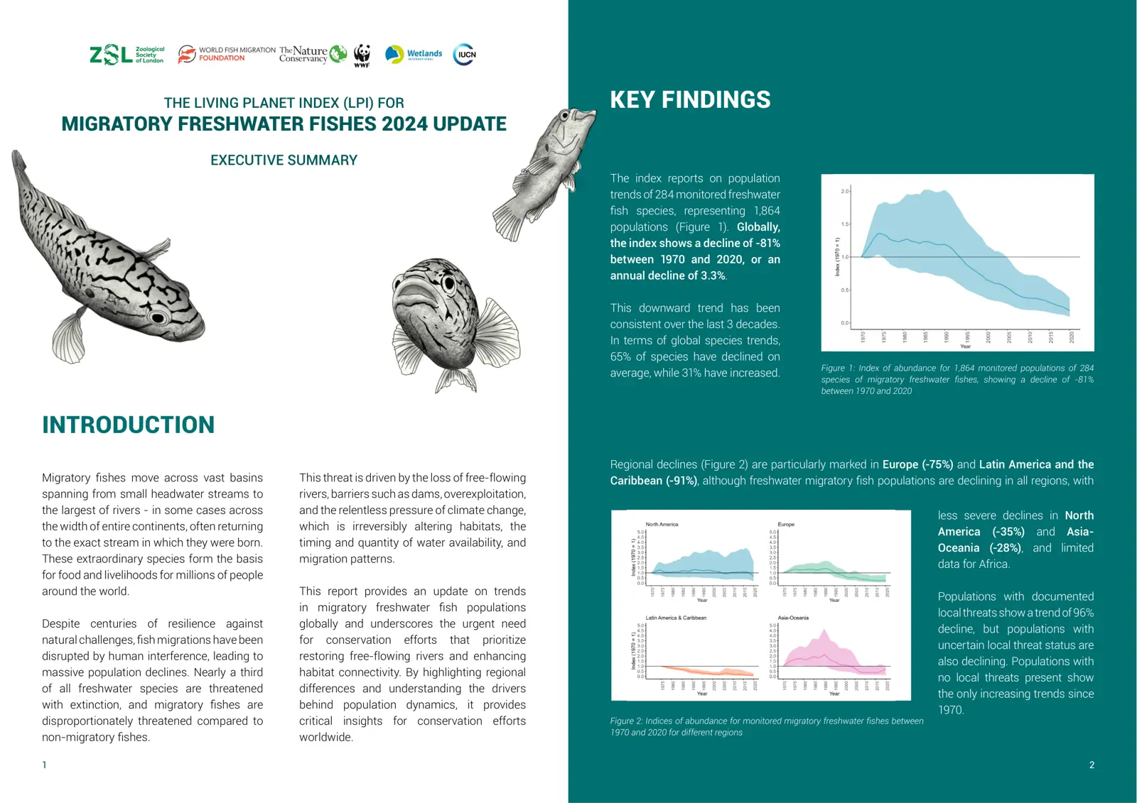 غلاف تقرير THE LIVING PLANET INDEX (LPI) FOR MIGRATORY FRESHWATER FISHES 2024 UPDATE