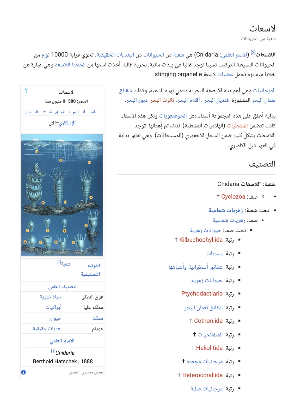 غلاف تقرير اللاسعات - شعبة من الحيوانات