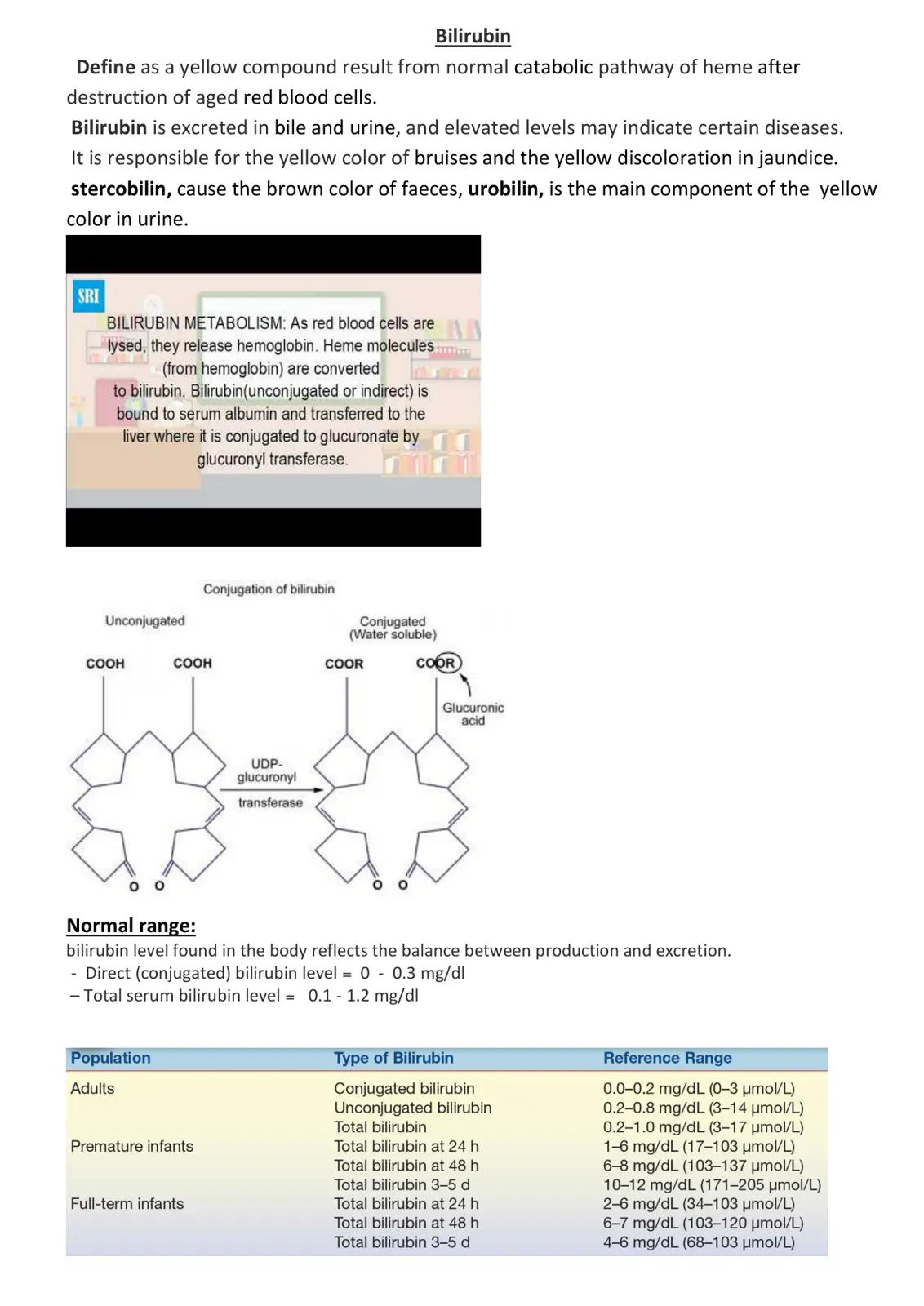 غلاف تقرير Bilirubin