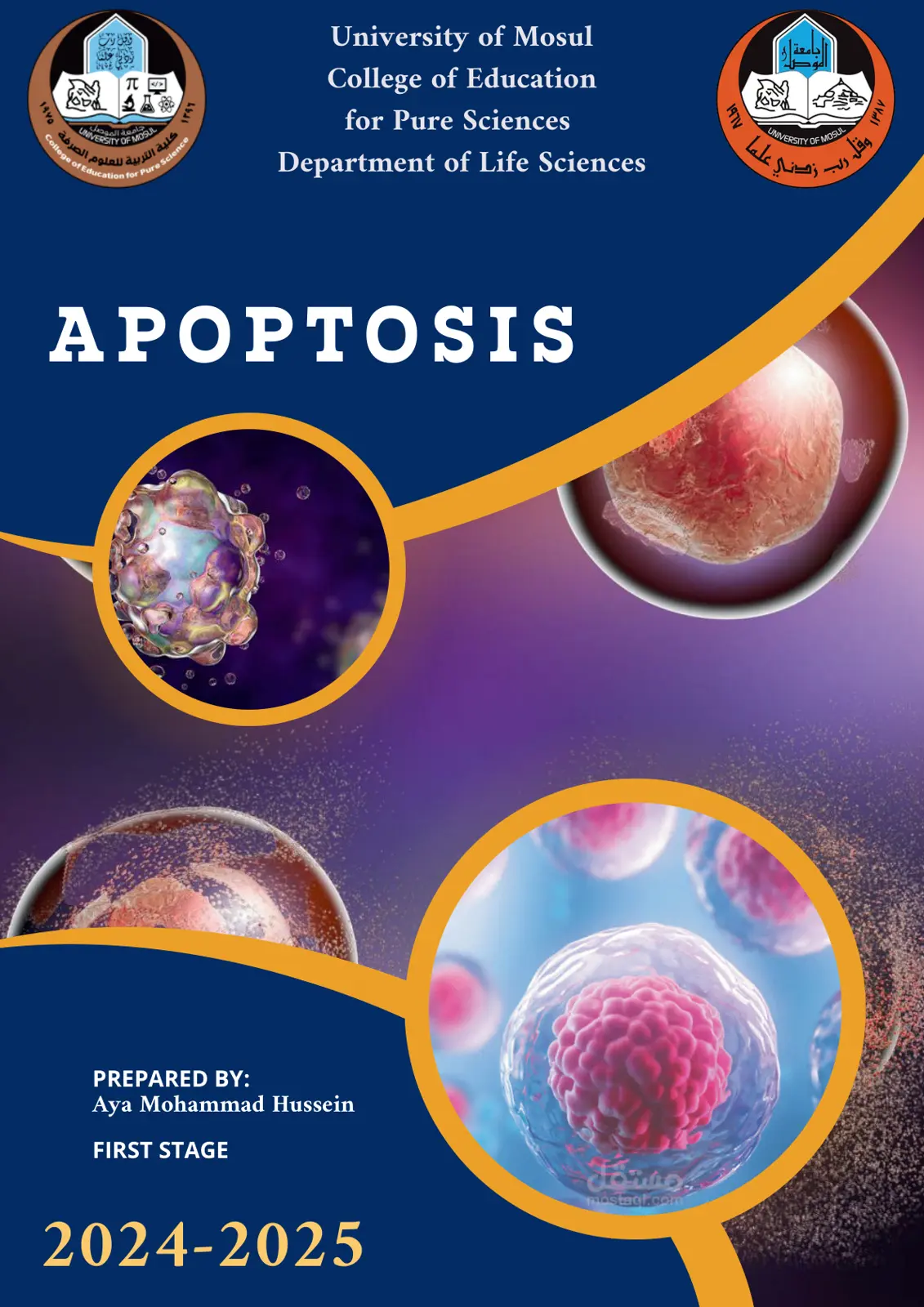 غلاف تقرير Apoptosis