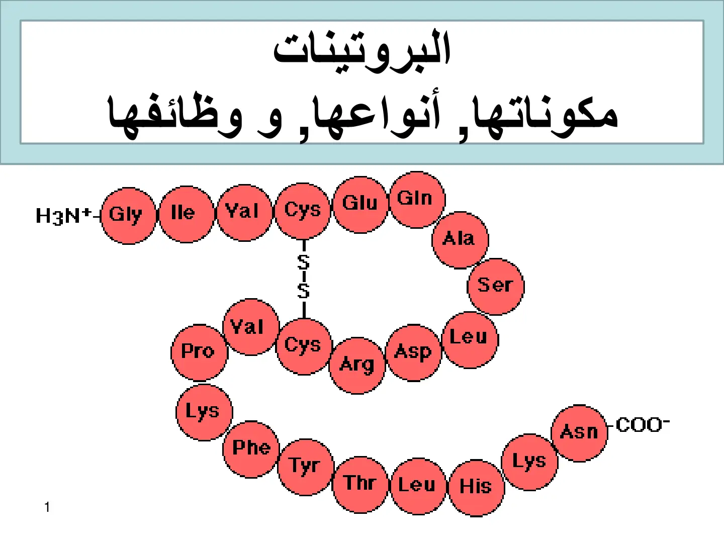 غلاف تقرير البروتينات مكوناتها، أنواعها، ووظائفها