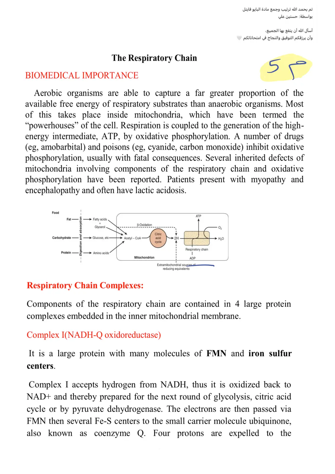 غلاف تقرير The Respiratory Chain - Biomedicine