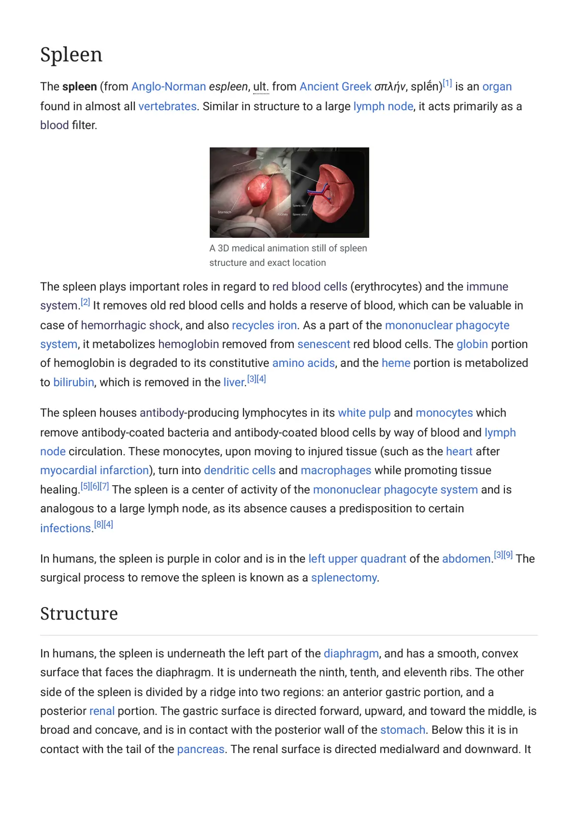 غلاف تقرير Spleen