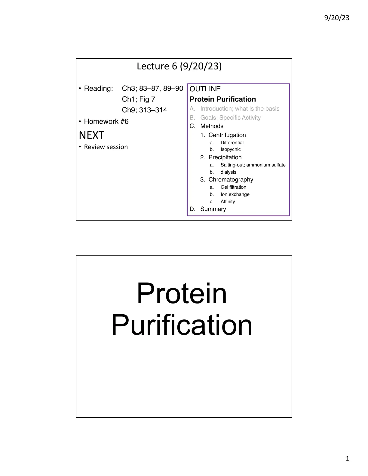 غلاف تقرير Protein Purification