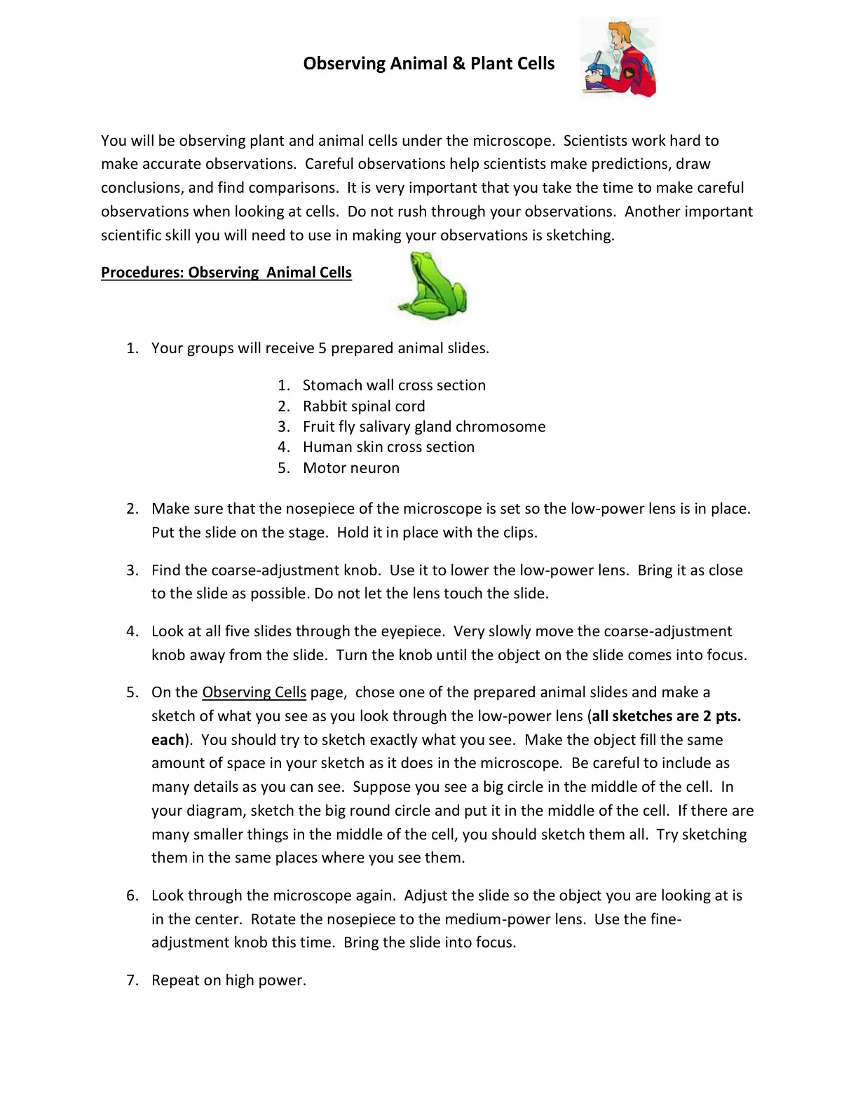 غلاف تقرير Observing Animal & Plant Cells