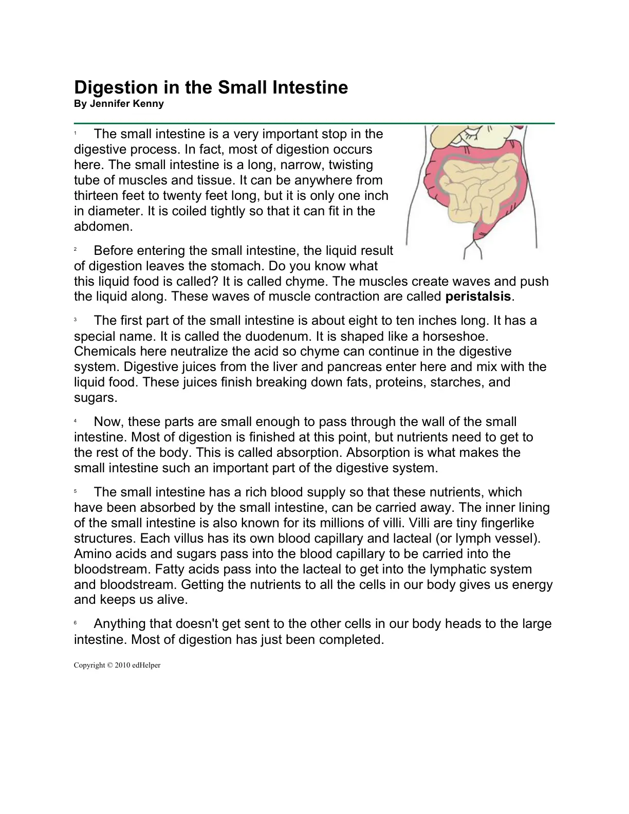غلاف تقرير Digestion in the Small Intestine