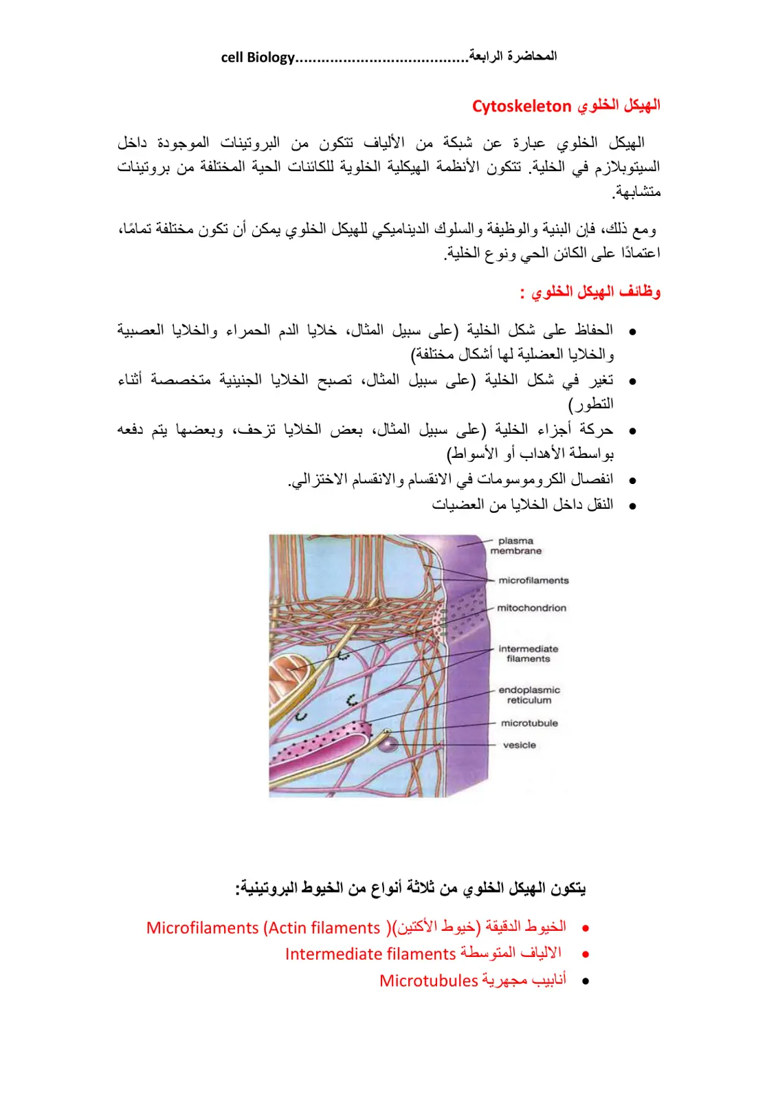غلاف تقرير المحاضرة الرابعة: الهيكل الخلوي Cytoskeleton