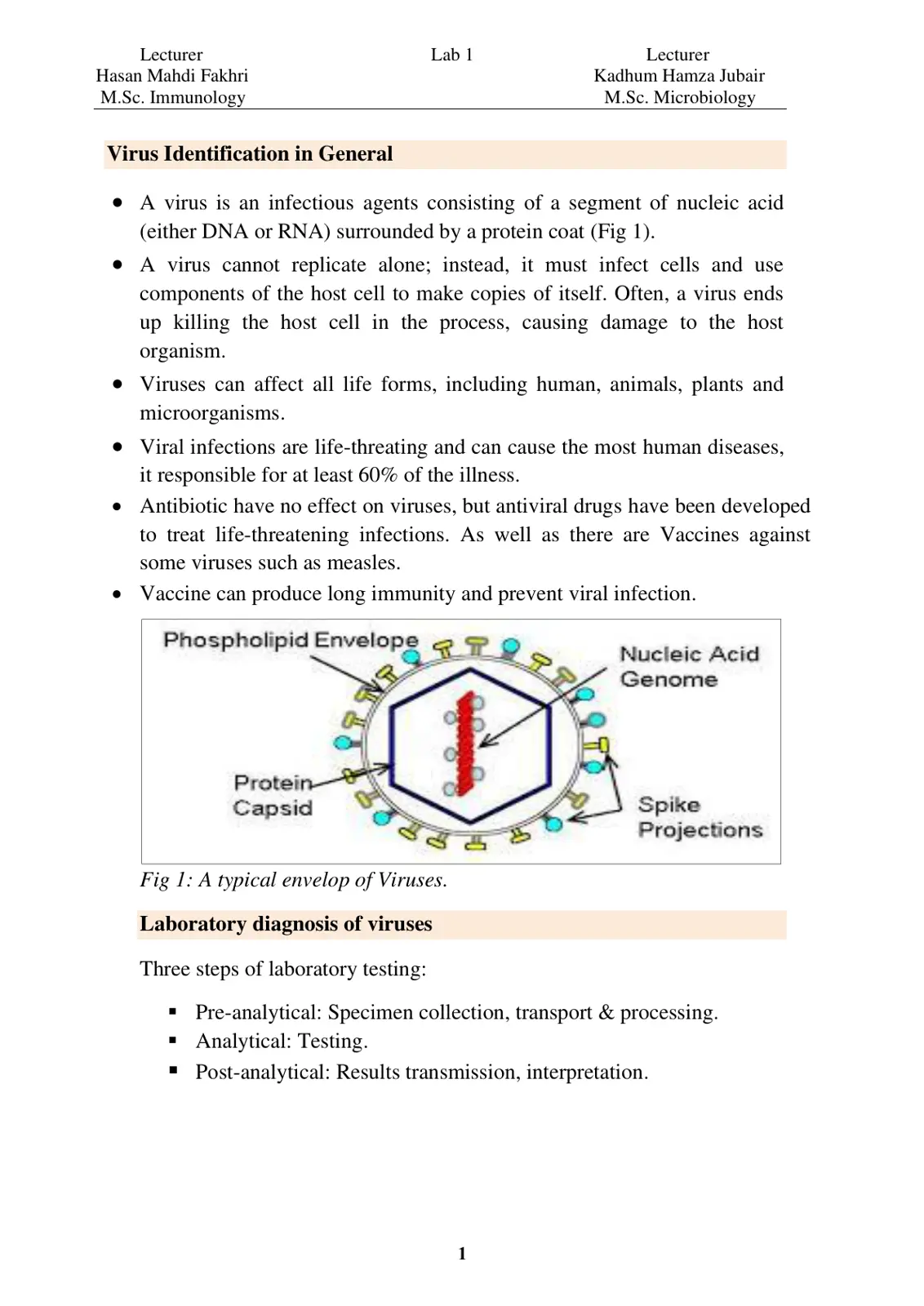 غلاف تقرير Virus Identification in General