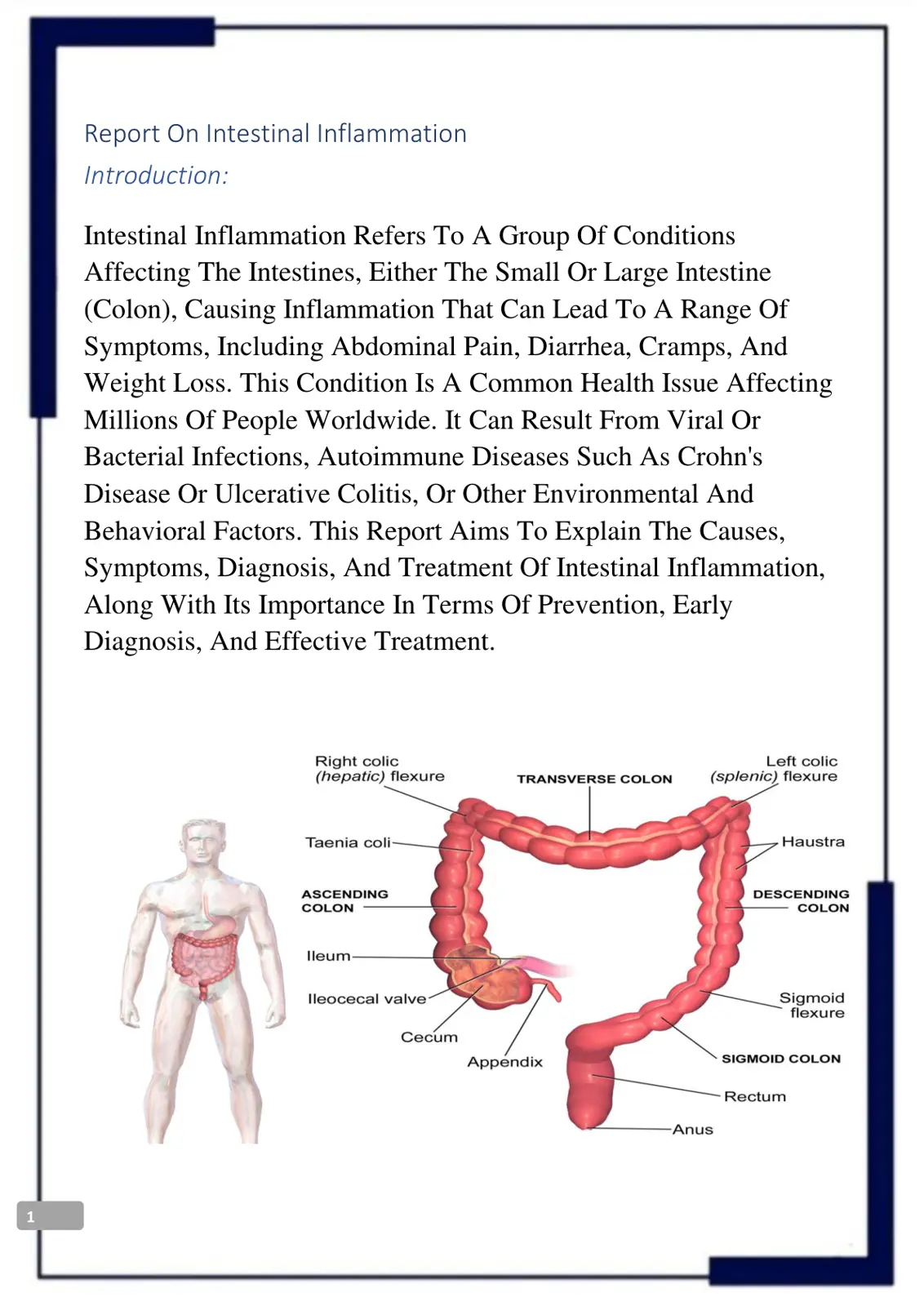 غلاف تقرير Report On Intestinal Inflammation