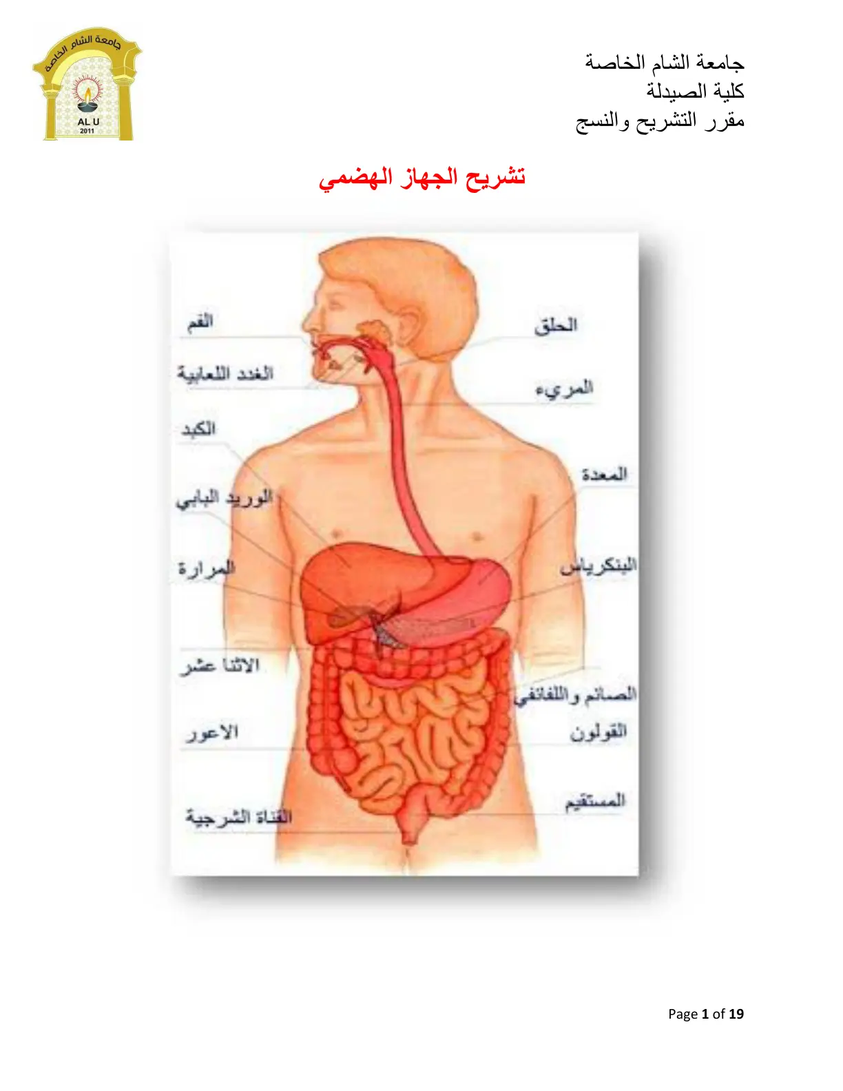 غلاف تقرير تشريح الجهاز الهضمي