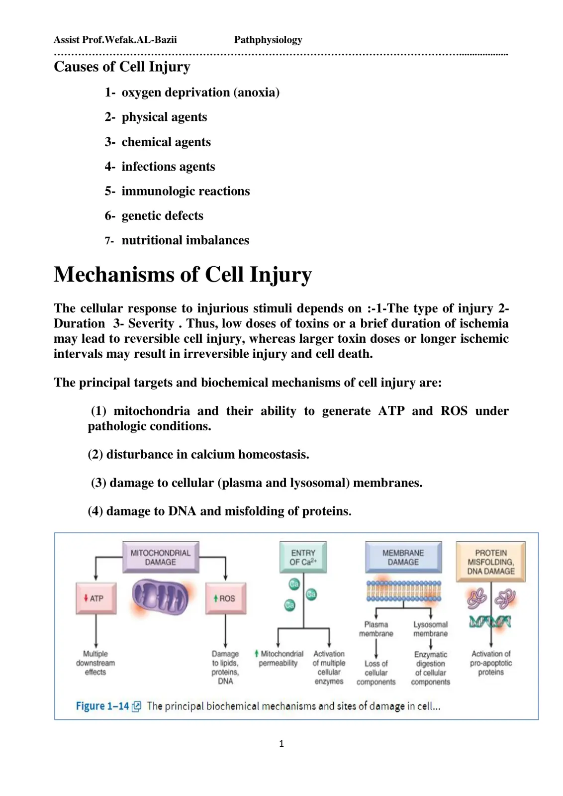 غلاف تقرير Causes and Mechanisms of Cell Injury