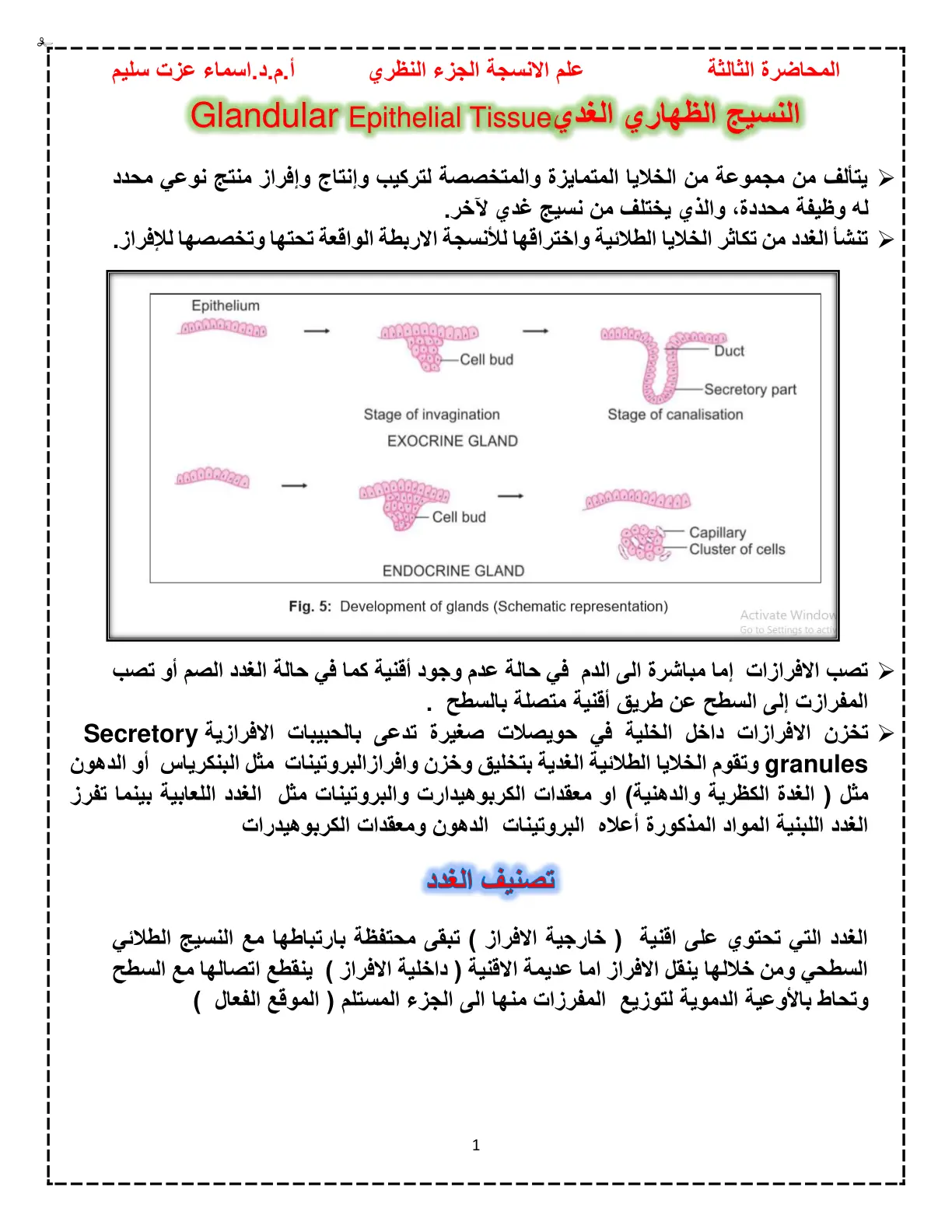 غلاف تقرير علم الأنسجة - النسيج الظهاري الغدي (الجزء النظري)
