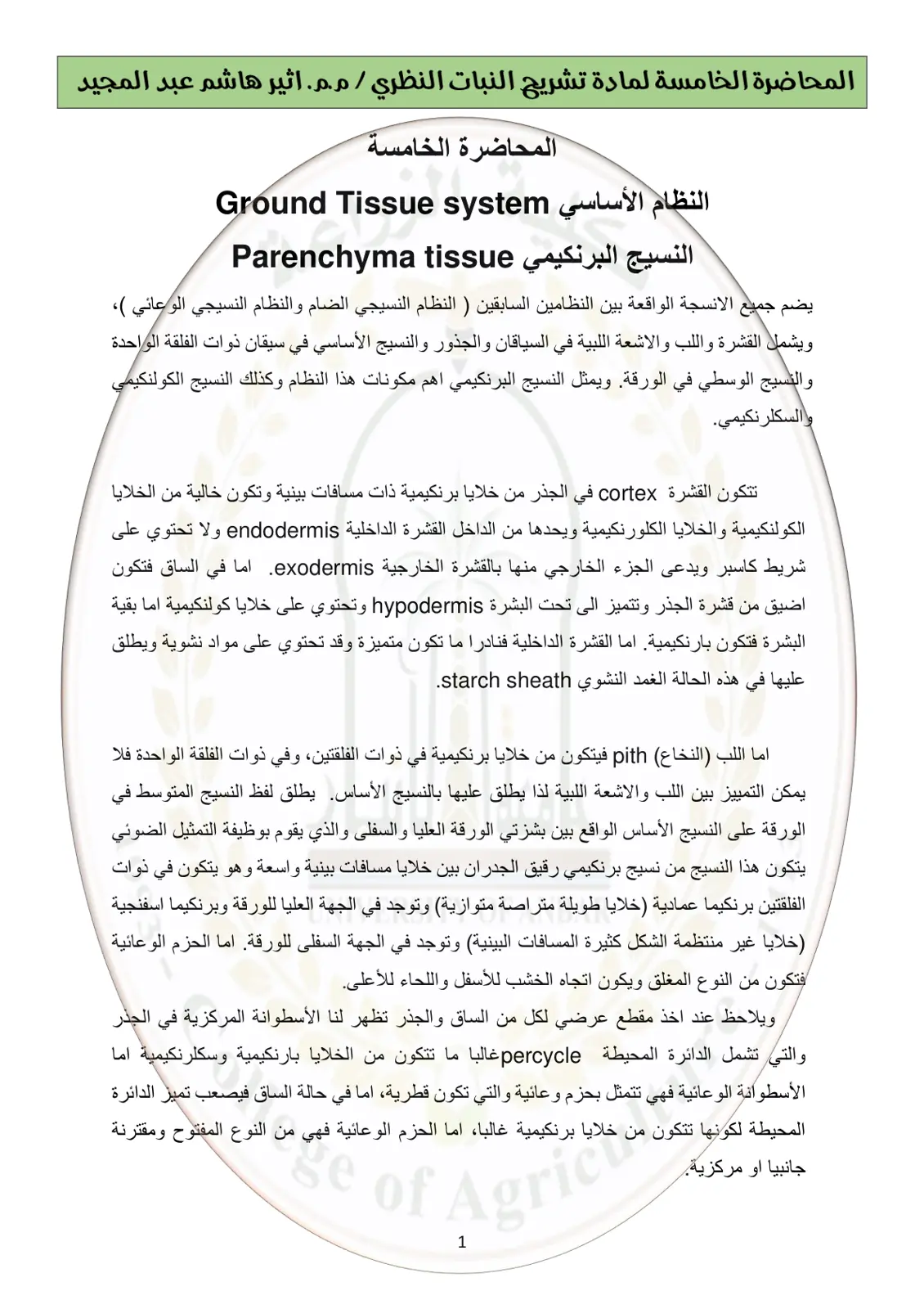 غلاف تقرير المحاضرة الخامسة - تشريح النبات النظري