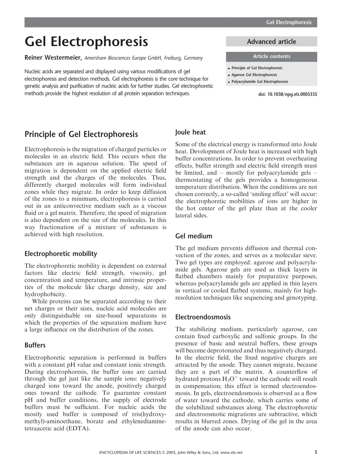 غلاف تقرير Gel Electrophoresis