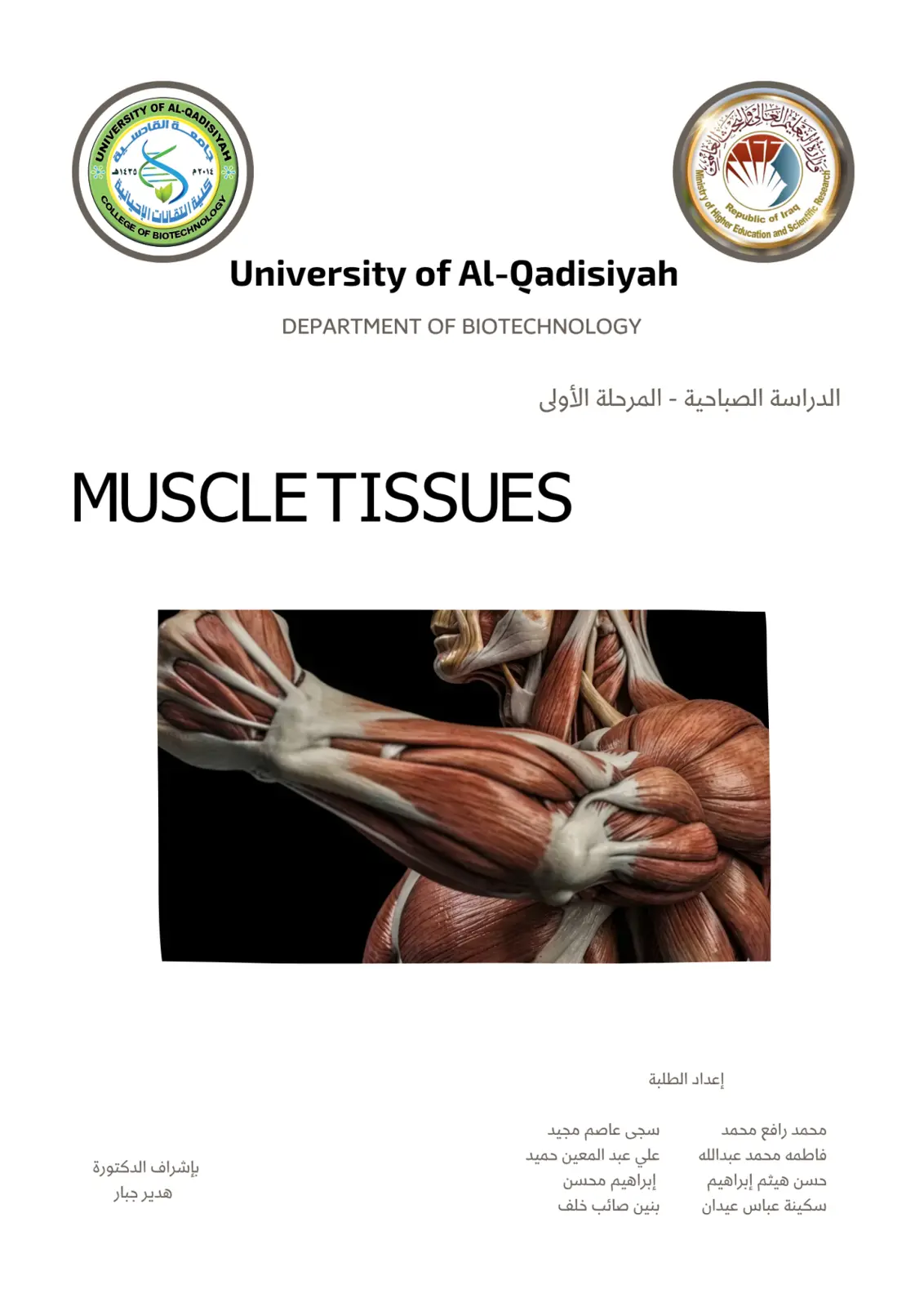 غلاف تقرير Muscle Tissues